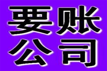 诉讼追讨欠款，被告无力偿还该如何应对？